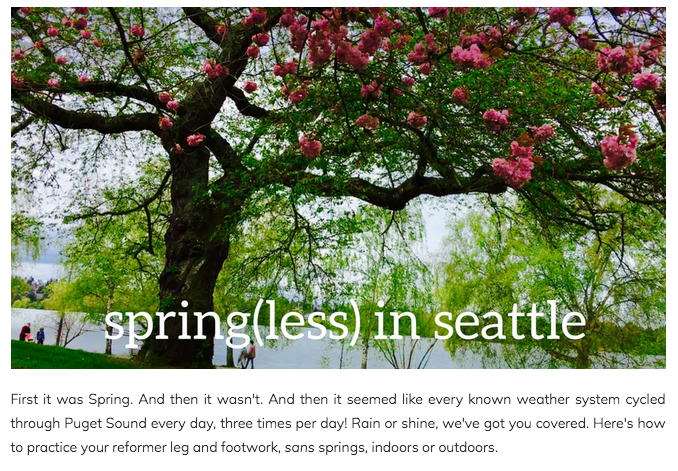 Screen Shot 2017-06-03 at 10.30.23 AM